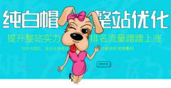純白帽整站優(yōu)化，提升整站實力，價格親民效果好